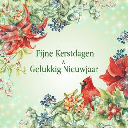 Janneke Brinkman kerstboxjes  KERSTBOEKET – KARDINAAL