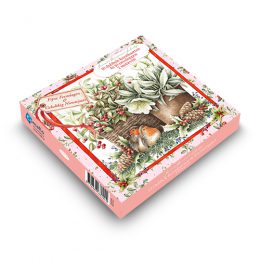 Janneke Brinkman kerstboxjes VOGELS BIJ MAND – VOGELHUISJE